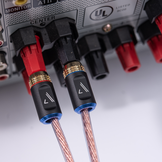 Austere V Series Banana Adapters 2 Pair - Black - Austere V series aDesign banana adpt for spkr cable 2 pair - Detailshot 1